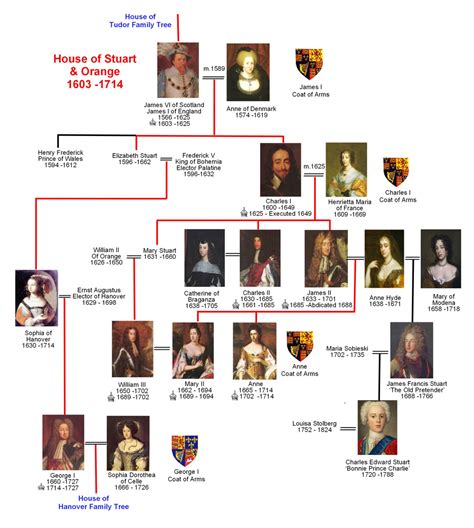 tudor coat of arms|tudor and stuart family tree.